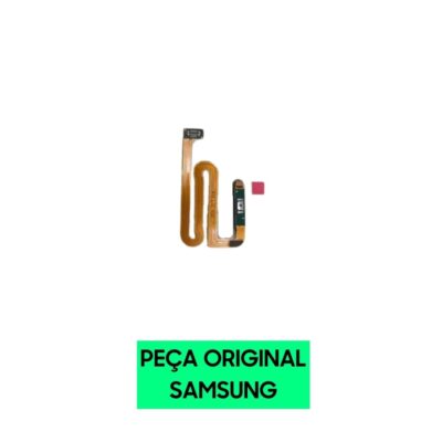 Design sem nome 1 2
