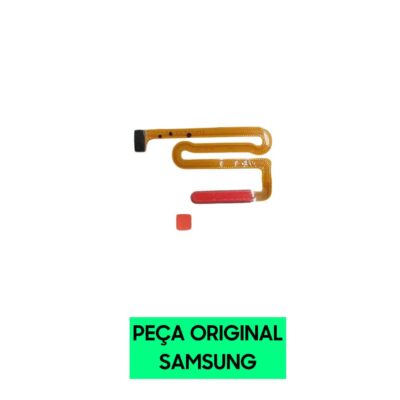 Design sem nome 18