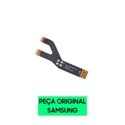Design sem nome 15