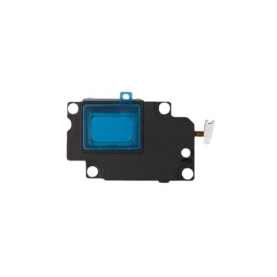Alto Falante Tab A9+ 5G Original Samsung (SM-X216)